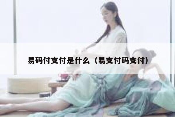 易码付支付是什么（易支付码支付） 第1张