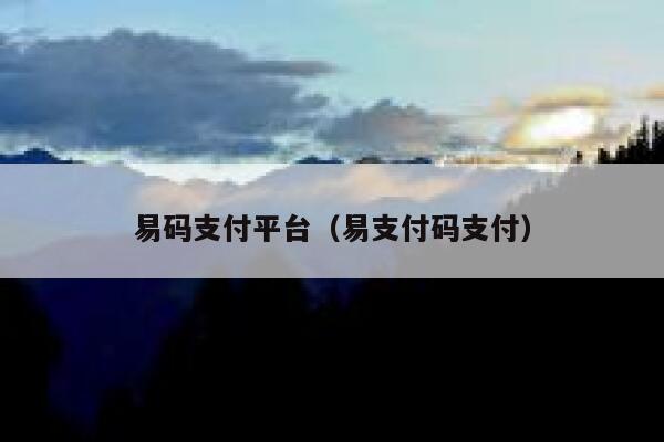 易码支付平台(易支付码支付) 第1张 易码支付平台(易支付码支付) 第1张