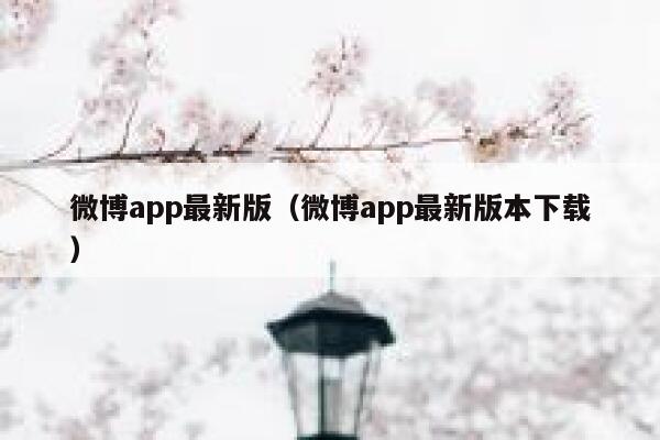 微博app最新版（微博app最新版本下载） 第1张