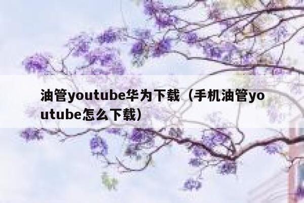 油管youtube华为下载（手机油管youtube怎么下载） 第1张