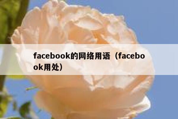 facebook的网络用语（facebook用处） 第1张