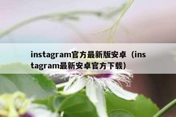 instagram官方最新版安卓（instagram最新安卓官方下载） 第1张