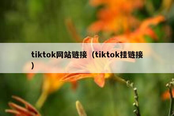 tiktok网站链接（tiktok挂链接） 第1张