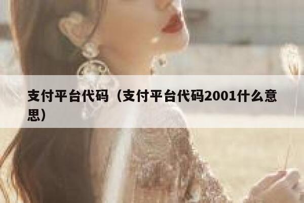 支付平台代码（支付平台代码2001什么意思） 第1张