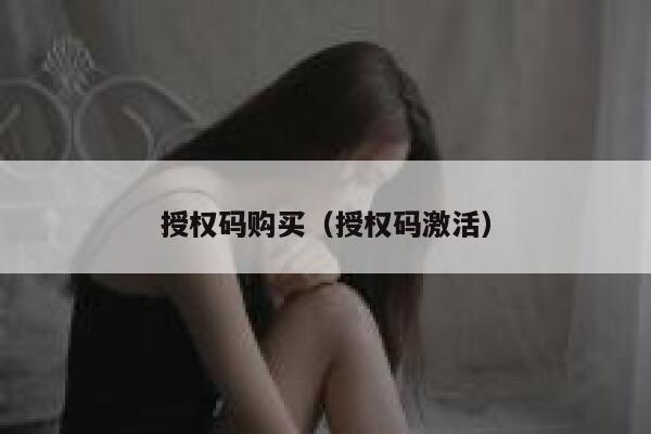 授权码购买（授权码激活） 第1张