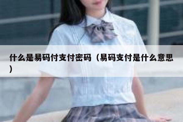 什么是易码付支付密码（易码支付是什么意思） 第1张
