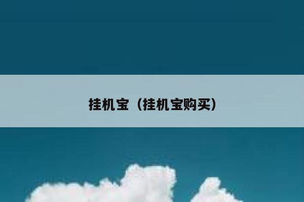 挂机宝（挂机宝购买） 第1张