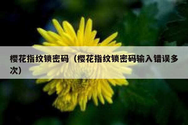 樱花指纹锁密码（樱花指纹锁密码输入错误多次） 第1张