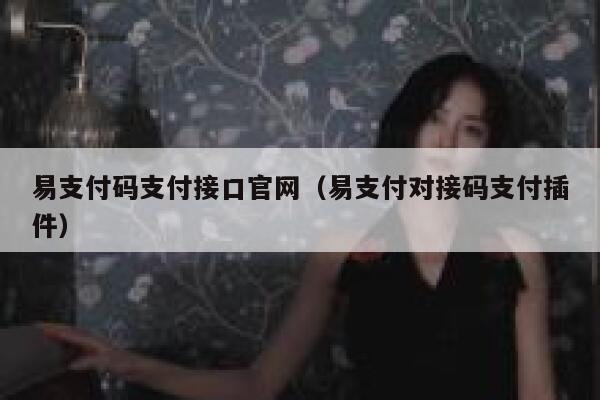 易支付码支付接口官网（易支付对接码支付插件） 第1张