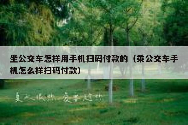 坐公交车怎样用手机扫码付款的（乘公交车手机怎么样扫码付款） 第1张