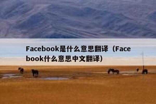 Facebook是什么意思翻译（Facebook什么意思中文翻译） 第1张