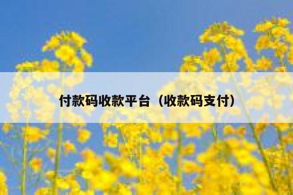 付款码收款平台（收款码支付） 第1张