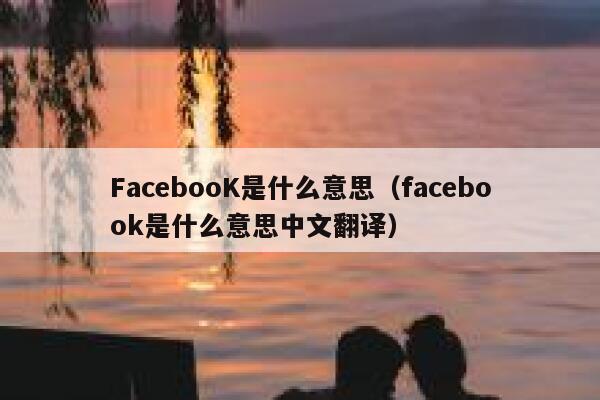 FacebooK是什么意思（facebook是什么意思中文翻译） 第1张