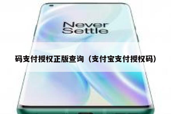 码支付授权正版查询（支付宝支付授权码） 第1张