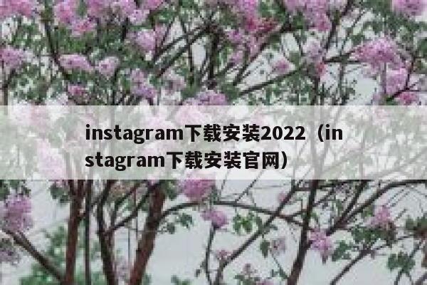 instagram下载安装2022（instagram下载安装官网） 第1张