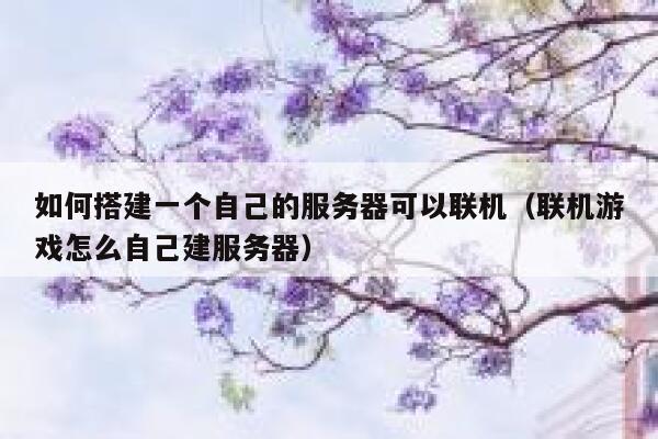 如何搭建一个自己的服务器可以联机（联机游戏怎么自己建服务器） 第1张