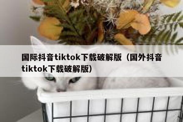 国际抖音tiktok下载破解版（国外抖音tiktok下载破解版） 第1张