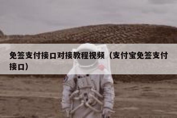 免签支付接口对接教程视频（支付宝免签支付接口） 第1张