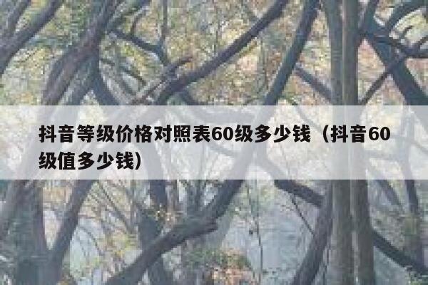 抖音等级价格对照表60级多少钱（抖音60级值多少钱） 第1张