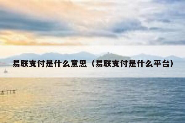 易联支付是什么意思（易联支付是什么平台） 第1张