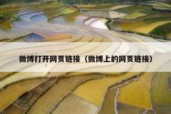 微博打开网页链接（微博上的网页链接） 第1张