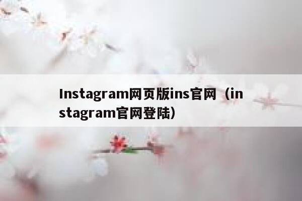 Instagram网页版ins官网（instagram官网登陆） 第1张