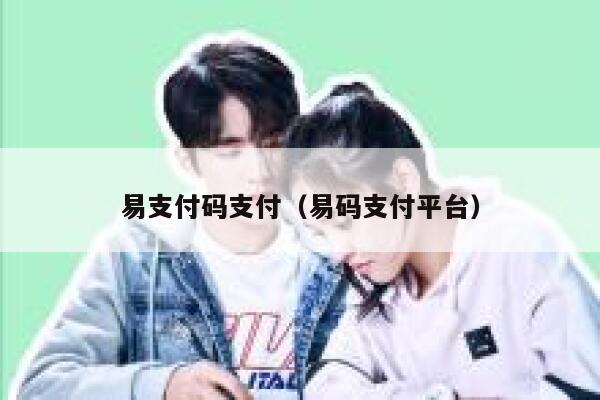 易支付码支付（易码支付平台） 第1张