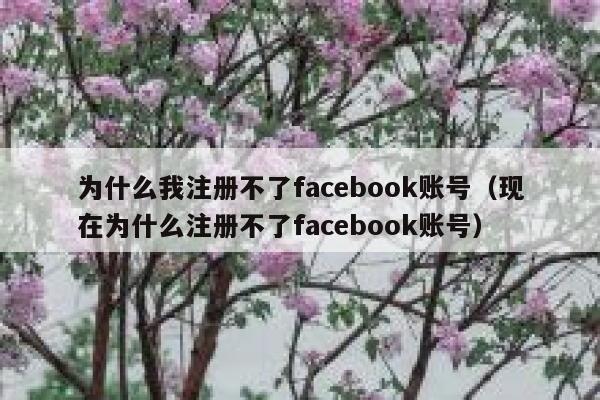 为什么我注册不了facebook账号（现在为什么注册不了facebook账号） 第1张