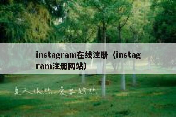 instagram在线注册（instagram注册网站） 第1张