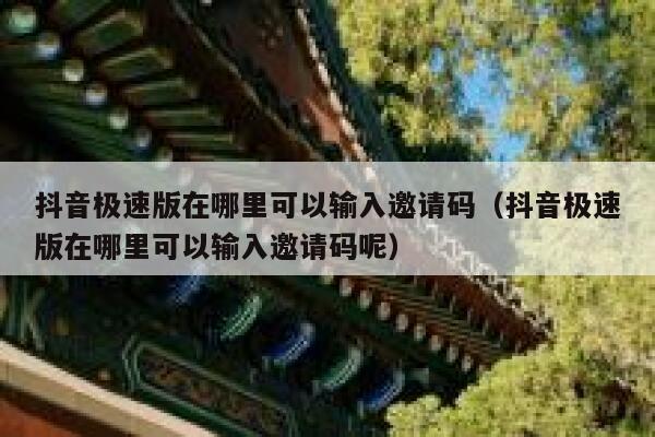 抖音极速版在哪里可以输入邀请码（抖音极速版在哪里可以输入邀请码呢） 第1张