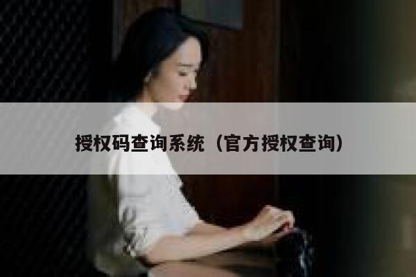 授权码查询系统（官方授权查询） 第1张