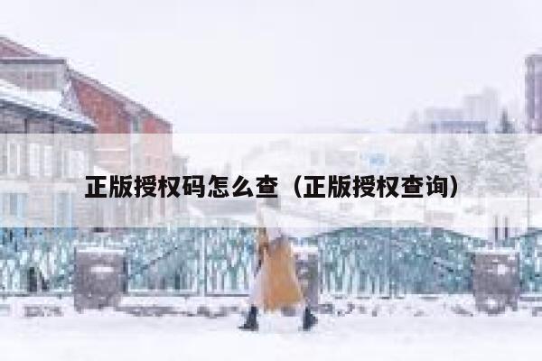 正版授权码怎么查（正版授权查询） 第1张