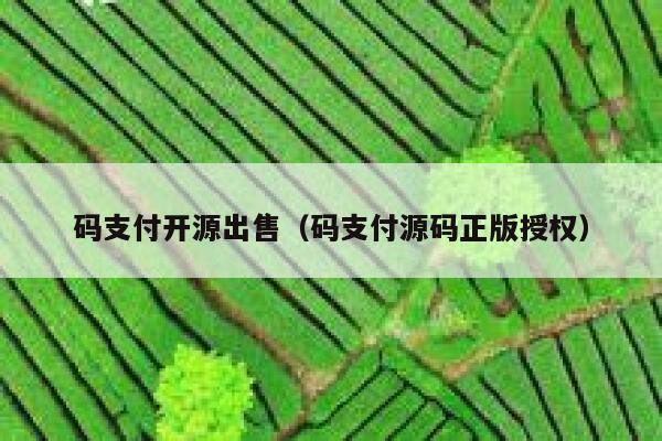 码支付开源出售（码支付源码正版授权） 第1张