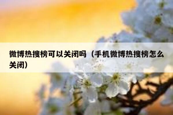 微博热搜榜可以关闭吗（手机微博热搜榜怎么关闭） 第1张