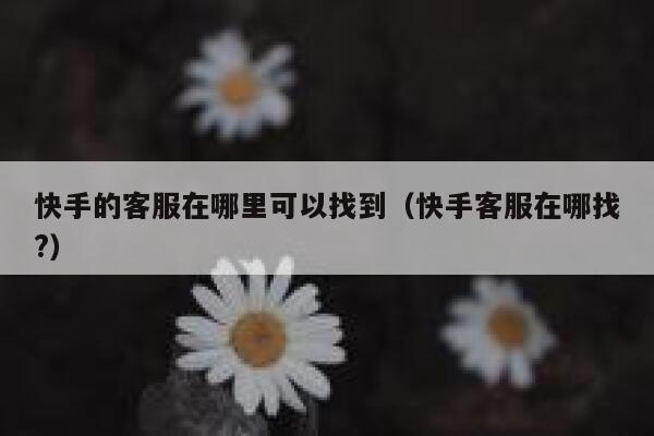 快手的客服在哪里可以找到（快手客服在哪找?） 第1张