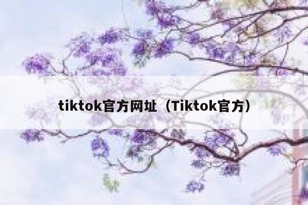tiktok官方网址（Tiktok官方） 第1张