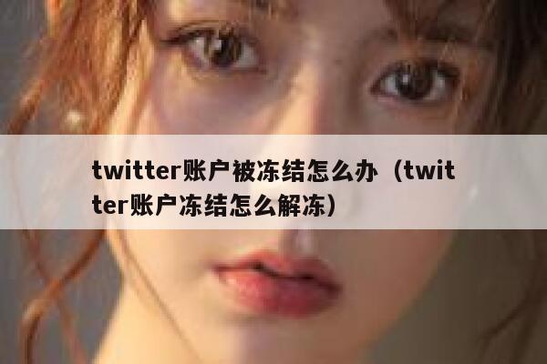 twitter账户被冻结怎么办（twitter账户冻结怎么解冻） 第1张