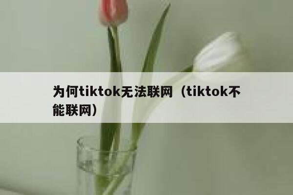 为何tiktok无法联网（tiktok不能联网） 第1张