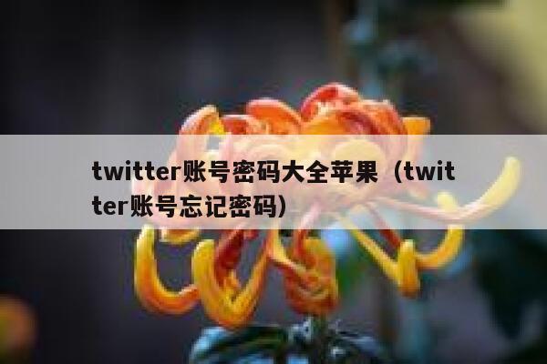 twitter账号密码大全苹果（twitter账号忘记密码） 第1张