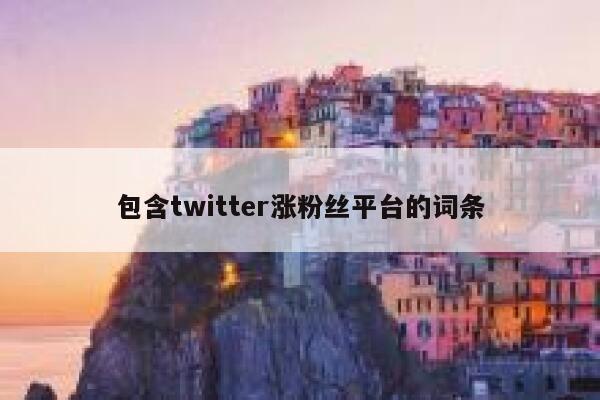 包含twitter涨粉丝平台的词条 第1张