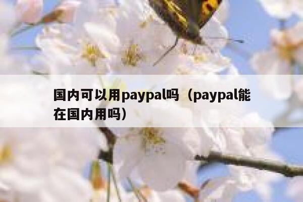 国内可以用paypal吗（paypal能在国内用吗） 第1张