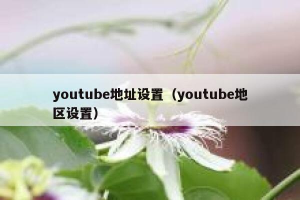 youtube地址设置（youtube地区设置） 第1张