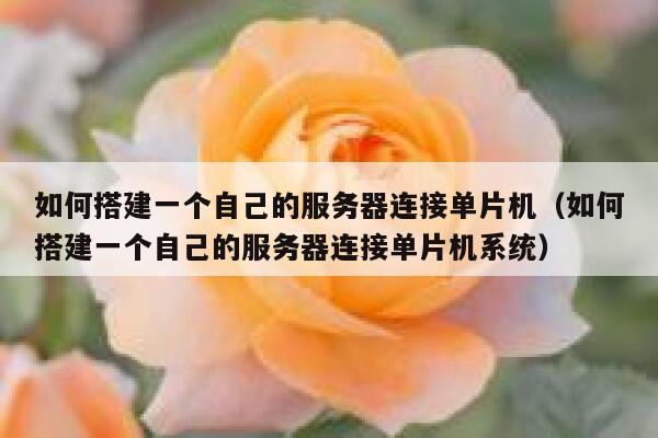如何搭建一个自己的服务器连接单片机（如何搭建一个自己的服务器连接单片机系统） 第1张