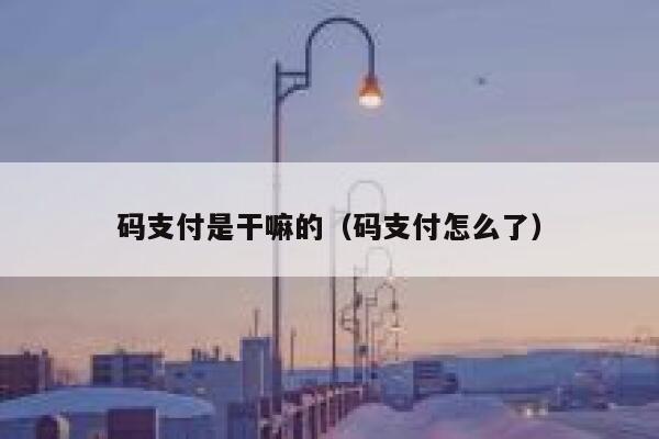 码支付是干嘛的（码支付怎么了） 第1张