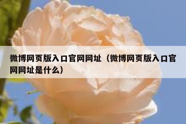 微博网页版入口官网网址（微博网页版入口官网网址是什么） 第1张
