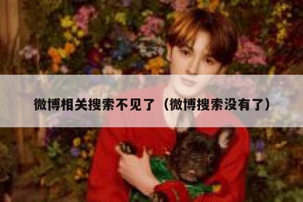 微博相关搜索不见了（微博搜索没有了） 第1张