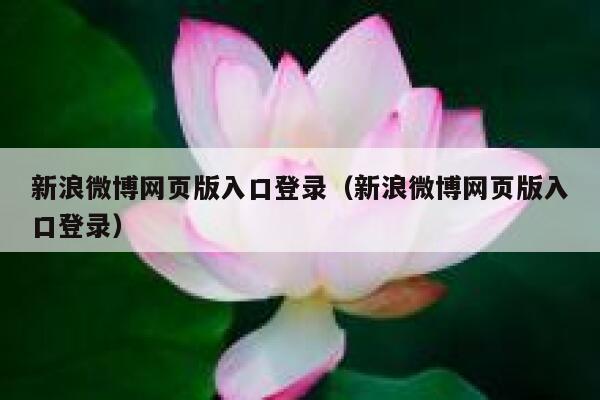 新浪微博网页版入口登录（新浪微博网页版入口登录） 第1张