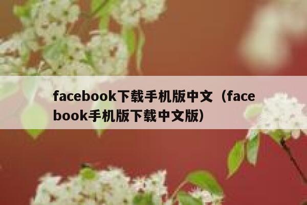 facebook下载手机版中文(facebook手机版下载中文版) 第1张 facebook下载手机版中文(facebook手机版下载中文版) 第1张