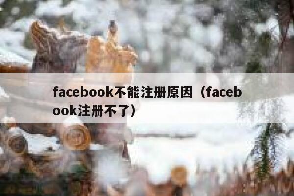 facebook不能注册原因（facebook注册不了） 第1张