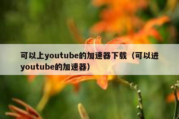 可以上youtube的加速器下载(可以进youtube的加速器) 第1张 可以上youtube的加速器下载(可以进youtube的加速器) 第1张
